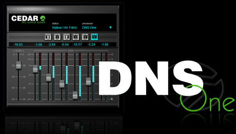 Cedar DNS One for Pro Tools